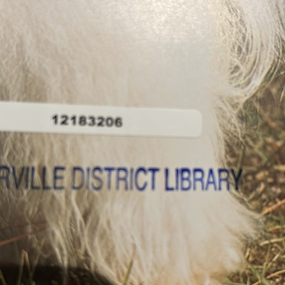 "Havanese" A Kennel Club Book - Picture 5 of 5